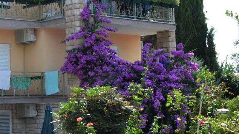 Villa Bencun Медулин Экстерьер фото